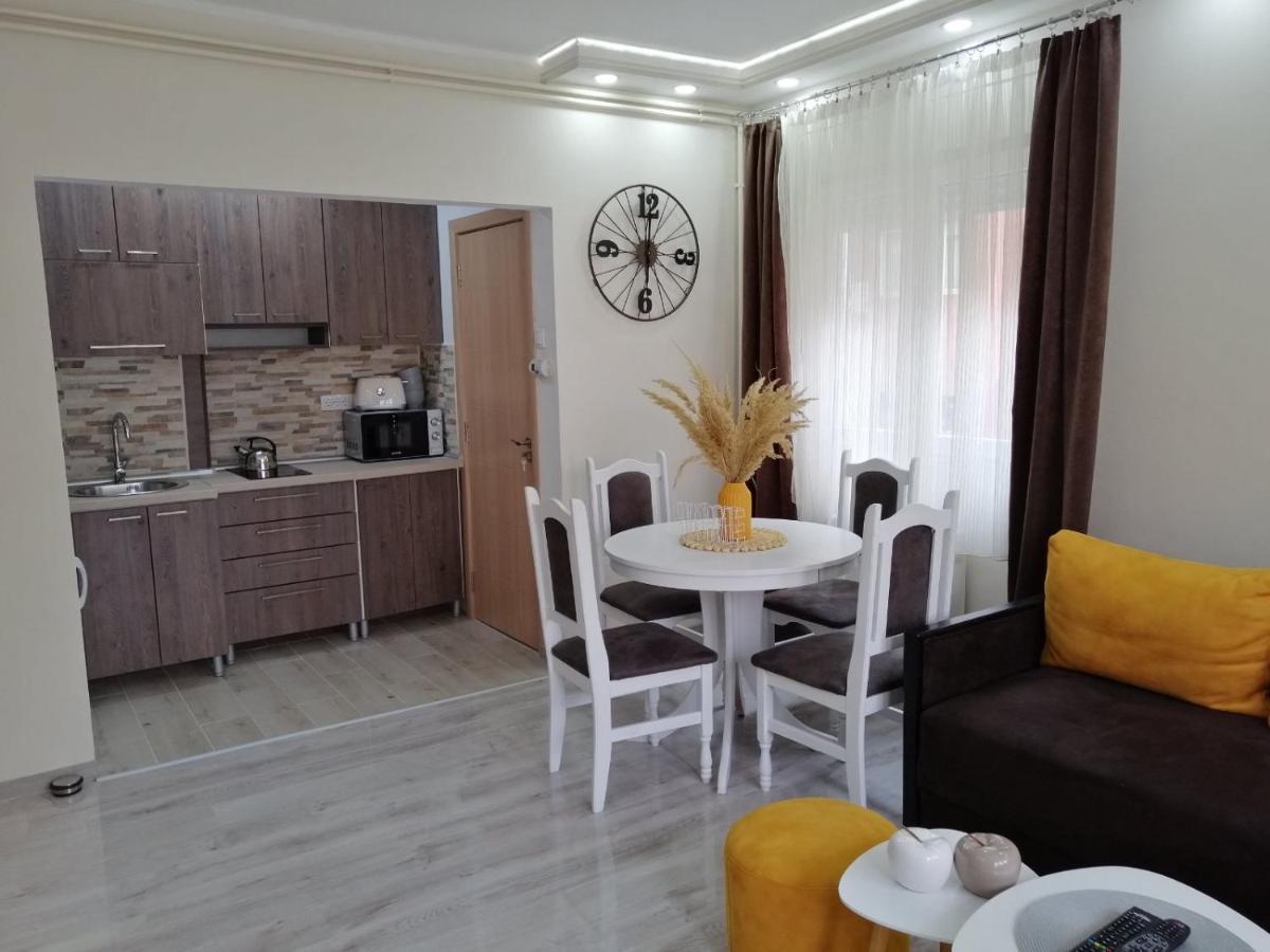 Apartmán Apartman Zi-Zo Vrsac Exteriér fotografie